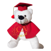 peluches de graduacion en ambato