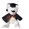 peluches de graduacion en ambato