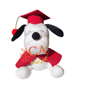peluches de graduacion en ambato