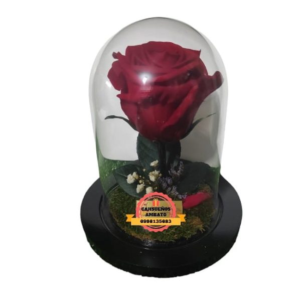 Eterno Rose rosas preservadas en ecuador