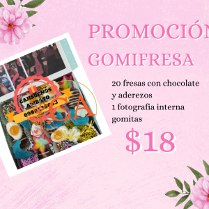 promo- gomifresa fresas con chocolate
