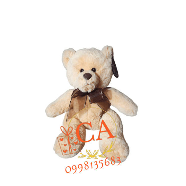 Peluche Osito Clásico